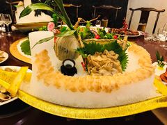 加拿大大象蚌-海通1号(梅峰店)