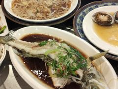 -冯姐生蚝(长隆横琴店)