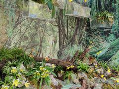 -北京植物园-展览温室