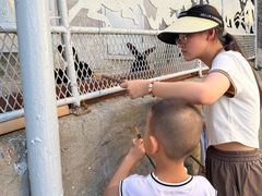 -西霞口神雕山野生动物世界