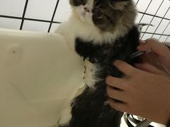 -BABYDOG宝贝狗宠物乐园(欧洲城店)