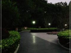 -徐家汇源景区-衡山公园