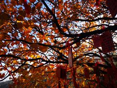 -香山公园-东宫门售票处