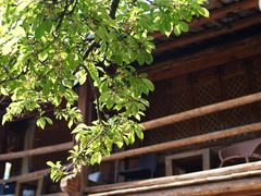 -田德能咖啡博物馆