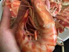 -三亚新鸿港水果一级批发市场