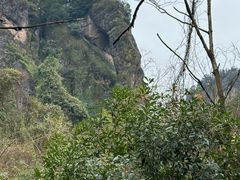 -江西龙虎山景区