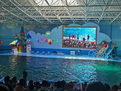 -烟台海昌鲸鲨海洋公园