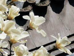 -大觉寺-停车场