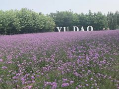 -北戴河圣蓝海洋公园