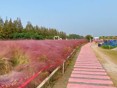-嘉北郊野公园