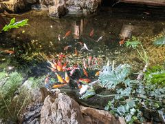 -聚缘堂·海鲜私房菜(松岭路店)