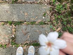 -潜山国家森林公园