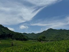 -听风阁农家私房菜茶楼(龙坞店)
