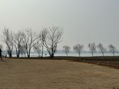 -金沙湖旅游度假区