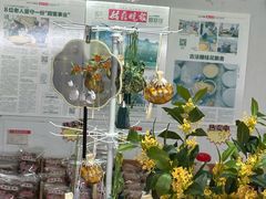 -苏州市吴中区光福窑上花果蜜饯厂