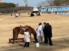 -武汉紫薇都市田园