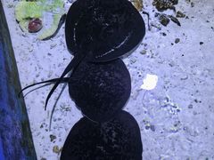 -白鹿仓冰雪海洋世界