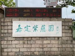 -嘉定紫藤园