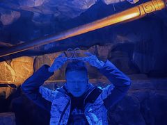 -西安电影制片厂