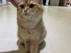 -藏猫猫咖啡主题馆(中央大道店)