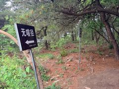 -北京十三陵国家森林公园蟒山景区