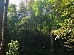 -广东温泉宾馆
