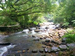 -广州市石门国家森林公园