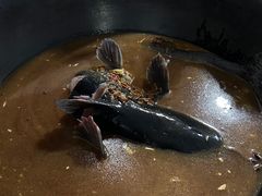 -北京龙庆四季香农家饭庄·灶台鱼·碳烤虹鳟鱼(龙庆峡店)