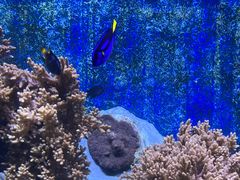 -珠海长隆海洋王国