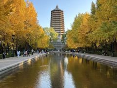 -玲珑塔公园