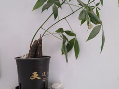 -张钰强中医正骨推拿连锁(唐家人才公寓店)