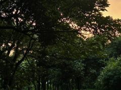 -杭州植物园