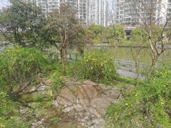 -苏州河梦清园环保主题公园