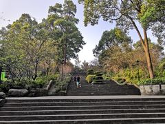 -南山植物园