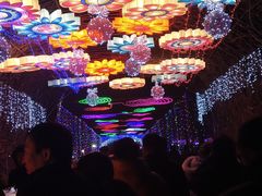 -北戴河集发农业梦想王国