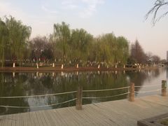 -白塘生态植物园