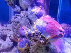 -太平洋海底世界