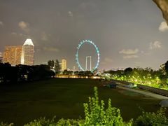 -新加坡摩天观景轮