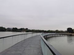-海珠湖公园