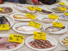 -舌尖上·霞浦滩涂海鲜·新闽菜(总店)