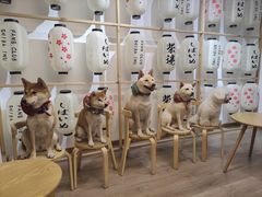 -柴迷FANS CLUB·柴犬狗咖·猫咖