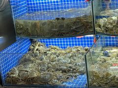 -星伦多自助料理·涮烤一体(嘉兴八佰伴店)