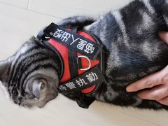 -宠福鑫动物医院(城北分院)