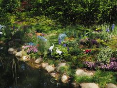 -上海共青森林公园