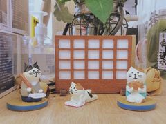 -椿风·养身茶饮(吉大店)