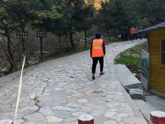-少华山国家森林公园