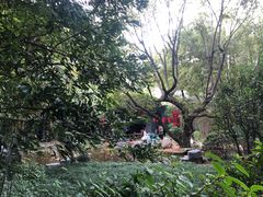 -同庆堂(解放北路店)