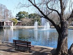 -共青国家森林公园-售票处