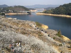 -广州市流溪河国家森林公园