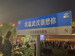 -武汉关码头(轮渡站)